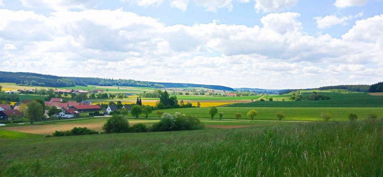 Ferienwohnung Im Barockwinkel Neuburg an der Kammel Eksteriør billede